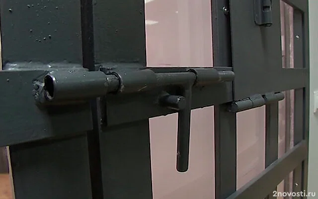 Суд в Петербурге арестовал девушку, которая подожгла склад гумпомощи &mdash; Новости