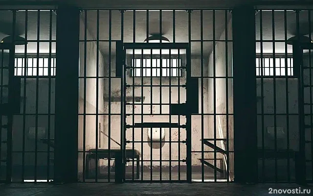 В Москве суд отправил под арест блогершу Рожкову за фото с букетом &mdash; Новости