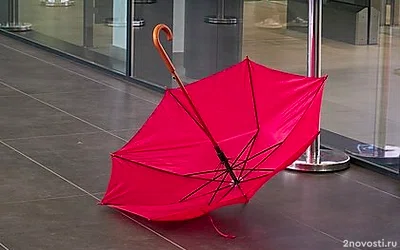 Гидрометцентр: Первый в году дождь ожидается в Москве и области в конце недели &mdash; Новости