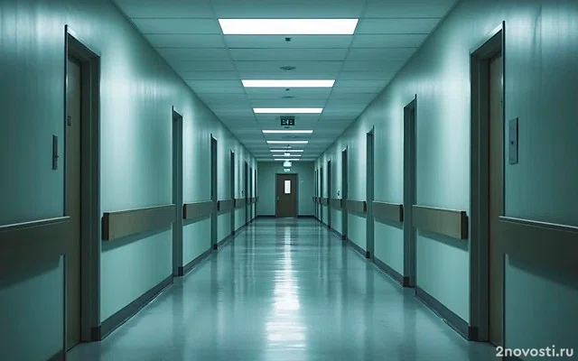 В Нижнем Новгороде задержали главврача больницы и его дочь &mdash; Новости