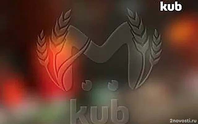 Жители Новороссийска показали пролет украинского дрона между жилыми домами &mdash; Новости