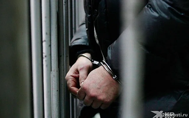 На Урале подростка заключили под стражу за покушение на теракт &mdash; Новости