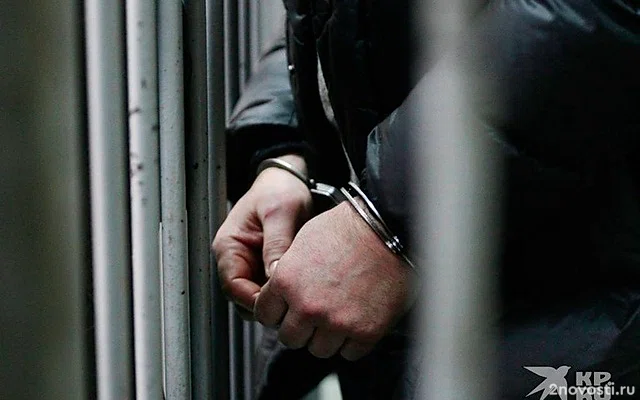 На Урале подростка заключили под стражу за покушение на теракт &mdash; Новости