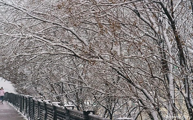 Москвичам рассказали о погоде в первую неделю весны &mdash; Новости