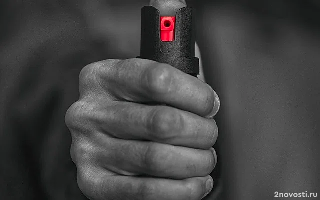 В Ростове-на-Дону студентку залили перцовкой в общежитии за просьбу не шуметь &mdash; Новости