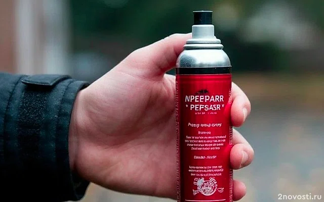 В Ростове-на-Дону студентку залили перцовкой в общежитии за просьбу не шуметь &mdash; Новости