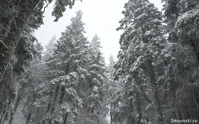 Единственный выживший турист переживал о непогоде перед походом на Кваркуш &mdash; Новости
