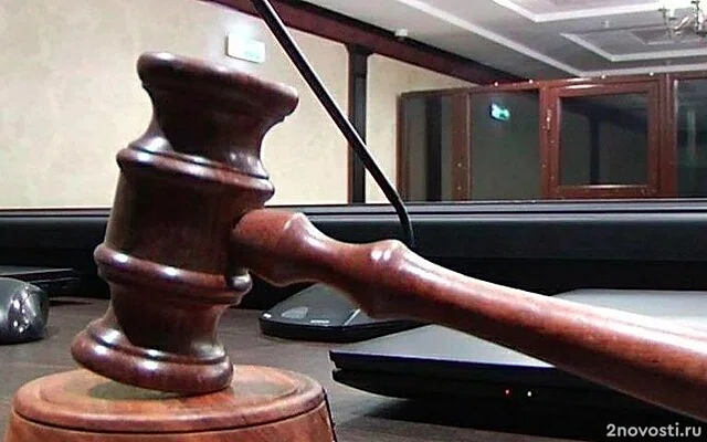 Прокурор запросил почти два года колонии для политолога Шульман &mdash; Новости