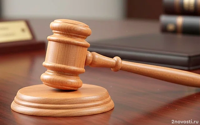 Прокурор запросил почти два года колонии для политолога Шульман &mdash; Новости