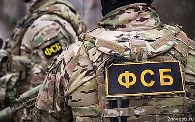 ФСБ задержала двух жителей Бородина, поставлявших оружие криминальным структурам &mdash; Новости