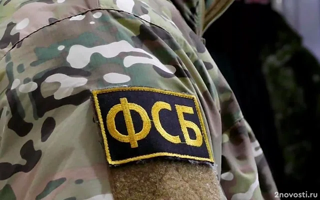 ФСБ задержала двух жителей Бородина, поставлявших оружие криминальным структурам &mdash; Новости