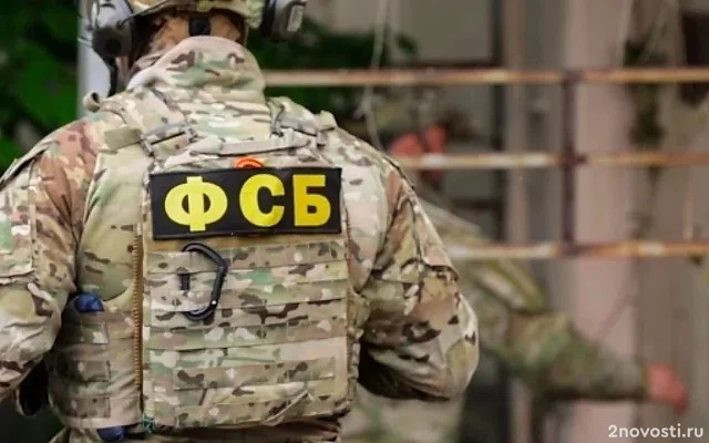 ФСБ задержала двух жителей Бородина, поставлявших оружие криминальным структурам &mdash; Новости