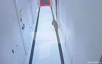 Появились кадры из ЖК в Москве, где совершил суицид бизнесмен Джабраилов &mdash; Новости