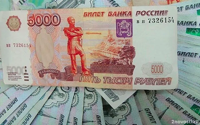 В Ростовской области подруга похитила 11 млн рублей у матери бойца СВО — Новости