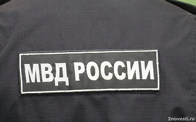 В Петербурге арестовали студента, открывшего ресторан с подставными спутницами — Новости