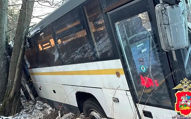 Пять человек пострадали в ДТП с автобусом в Подмосковье — Новости