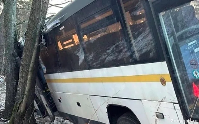 Пять человек пострадали в ДТП с автобусом в Подмосковье — Новости