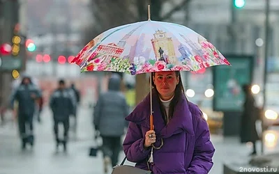 Синоптик Тишковец: 23 января в Москве наступит метеорологическая весна — Новости