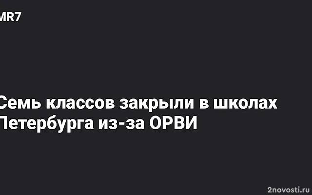 Семь школьных классов закрыли в Петербурге из-за ОРВИ — Новости