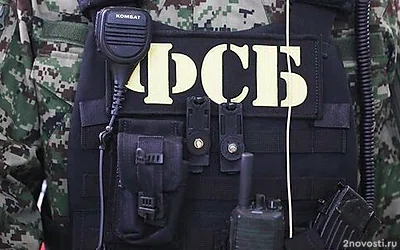 ФСБ задержала подозреваемых в похищении военных и вымогательстве членов ОПГ — Новости