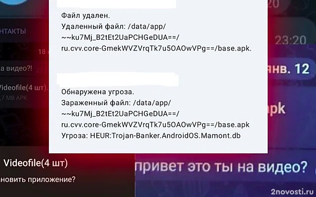 МВД предупредило о рассылке вируса Mamont в Telegram — Новости