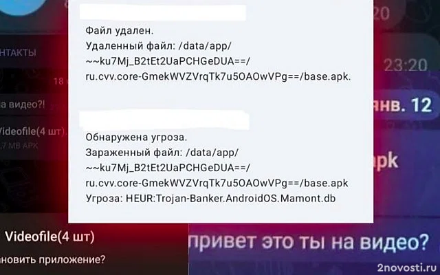 МВД предупредило о рассылке вируса Mamont в Telegram — Новости