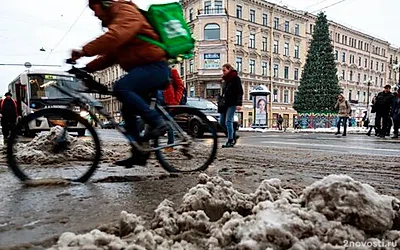 МЧС предупредило петербуржцев о ветре до 15 м/с и гололедице 25 января — Новости