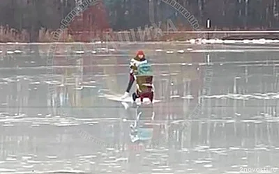 В Балашихе на видео сняли катающуюся на коньках с детской коляской женщину — Новости