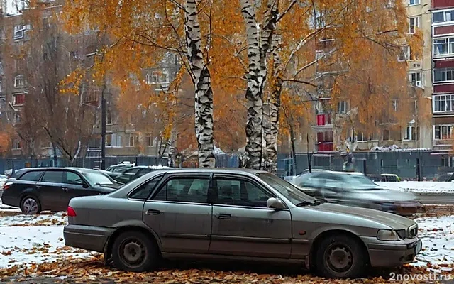 В Челябинске коммунальщики пытались снести дерево, но повалили его на машины — Новости