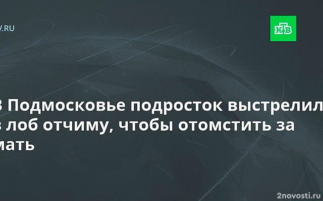 Подросток из Королева выстрелил отчиму-инвалиду в лоб, чтобы отомстить за мать — Новости