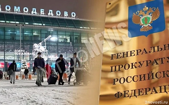 Генпрокуратура подала иск к «Домодедово» и Каменщику — Новости