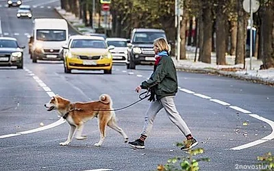 Синоптик Тишковец: 30 января в Москве ожидается двойной температурный рекорд — Новости