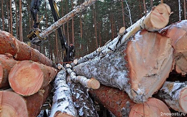 При захвате заложников под Калугой погибли трое, преступник покончил с собой — Новости