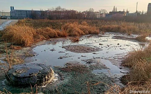 В Тамбове фекальные озера стали поводом для возбуждения уголовного дела — Новости