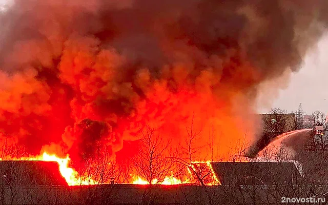 Сотрудники МЧС спасли 60 человек при пожаре в хостеле на северо-западе Москвы — Новости