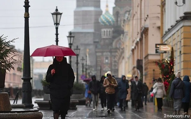 Пасмурная и дождливая погода ожидается в Петербурге 31 января — Новости