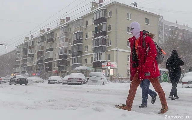 В Миассе девочку на морозе заставили сниматься в «кино для взрослых» — Новости