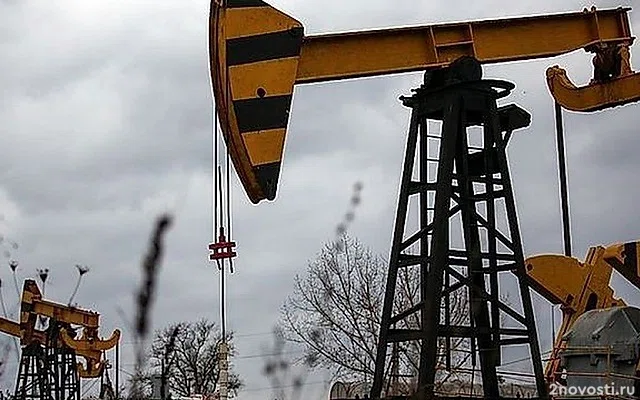 «Ъ»: в Татарстане произошел разлив 8,5 кубометра нефти на площади 2 тыс. кв. м — Новости