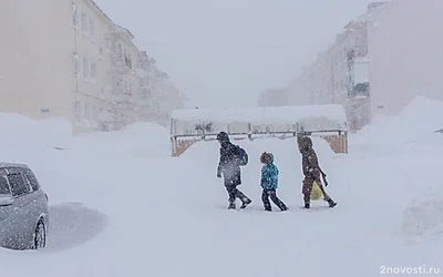 Жителей Южно-Сахалинска попросили заранее выбрасывать мусор в преддверии метели — Новости