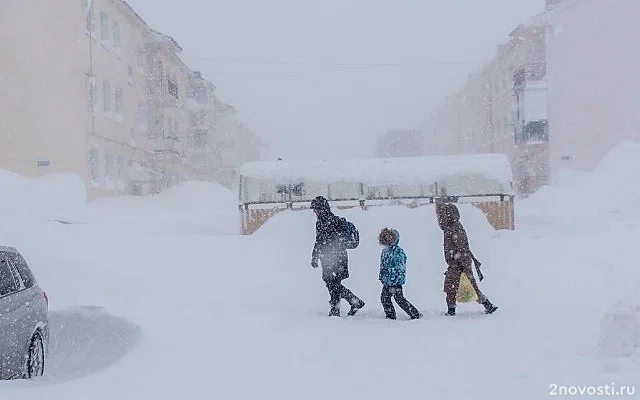 Жителей Южно-Сахалинска попросили заранее выбрасывать мусор в преддверии метели — Новости