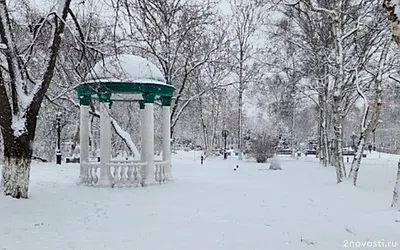 Небольшой снег пройдет на Сахалине и Курилах 3 февраля — Новости