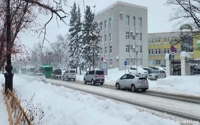 Небольшой снег пройдет на Сахалине и Курилах 3 февраля — Новости