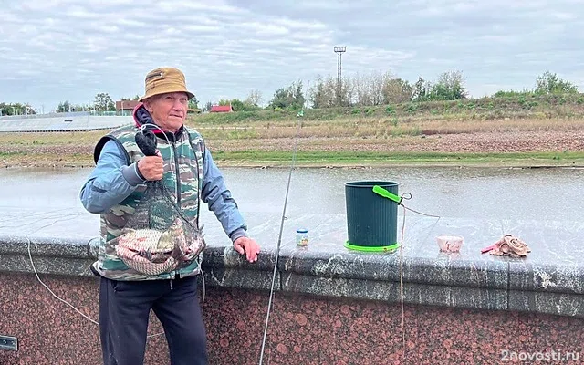 В Великобритании поймали самого крупного сома в истории длиной 2,4 метра — Новости