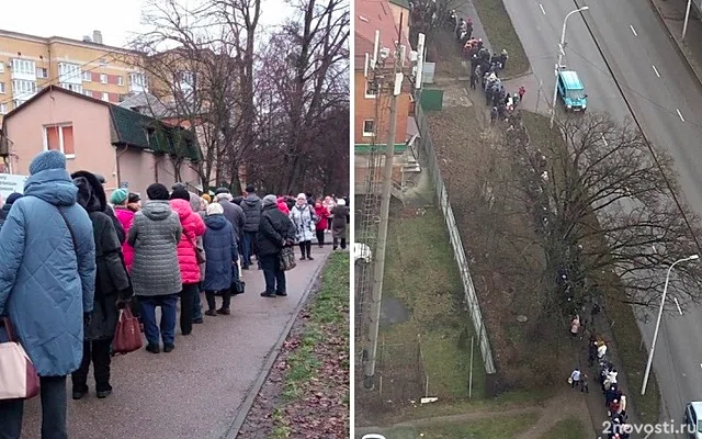 Власти Калининграда раздают напитки пенсионерам в очереди с картами — Новости