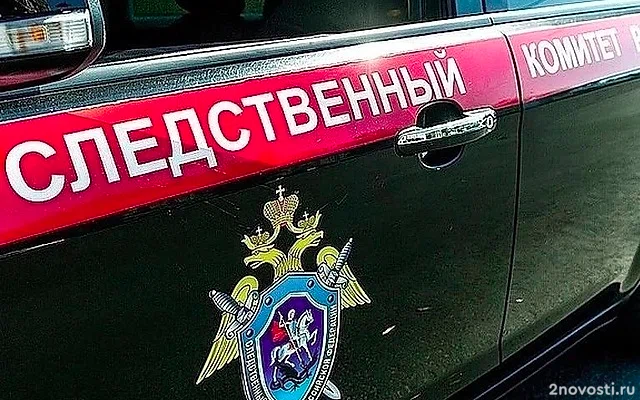 В Керчи СК поручил возбудить дело против тренера после жалоб о домогательствах — Новости