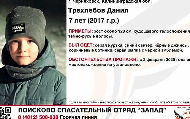 Волонтеры и полиция ищут пропавшего под Калининградом семилетнего мальчика — Новости