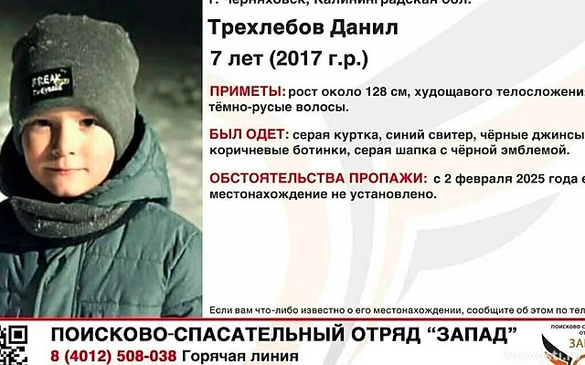 Волонтеры и полиция ищут пропавшего под Калининградом семилетнего мальчика — Новости