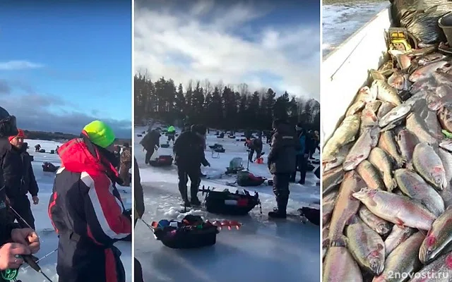 В Карелии сотни человек приехали ловить уплывшую из садков форель — Новости