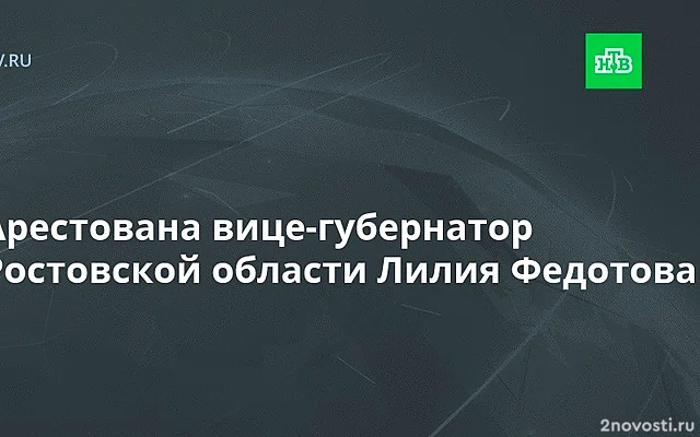 Суд арестовал вице-губернатора Ростовской области Лилию Федотову — Новости