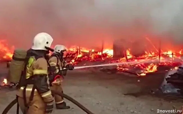 Часть города на Алтае осталась без света из-за поджога подстанции — Новости